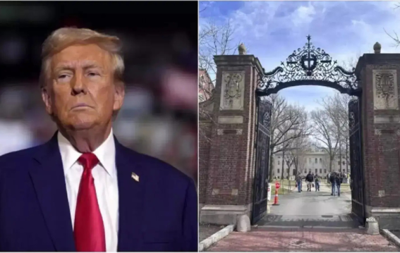 Harvard Risks Losing International Students Amid Trump Administration